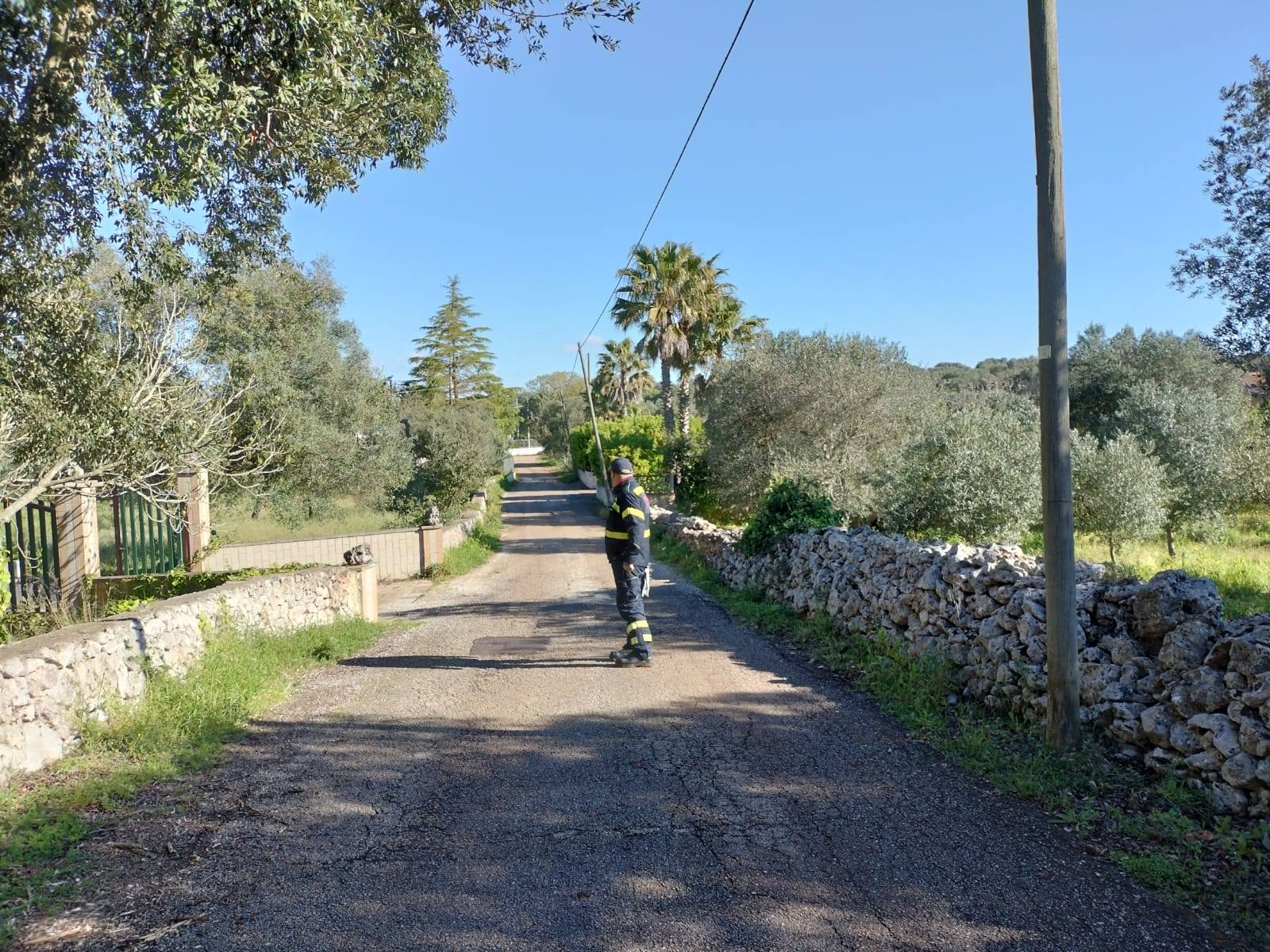 Decine di persone impegnate nella ricerca della donna scomparsa a Ceglie domenica scorsa