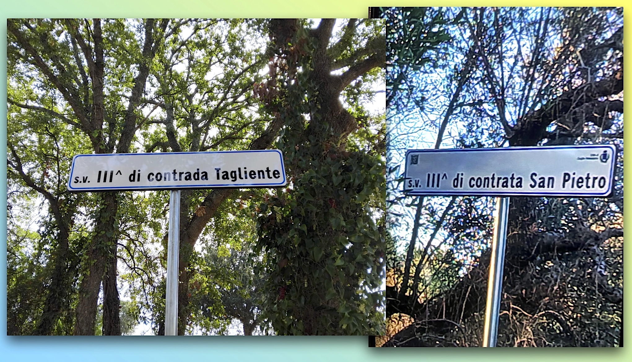 I cartelli nella campagna di Ceglie, con errori e ridondanze nella numerazione
