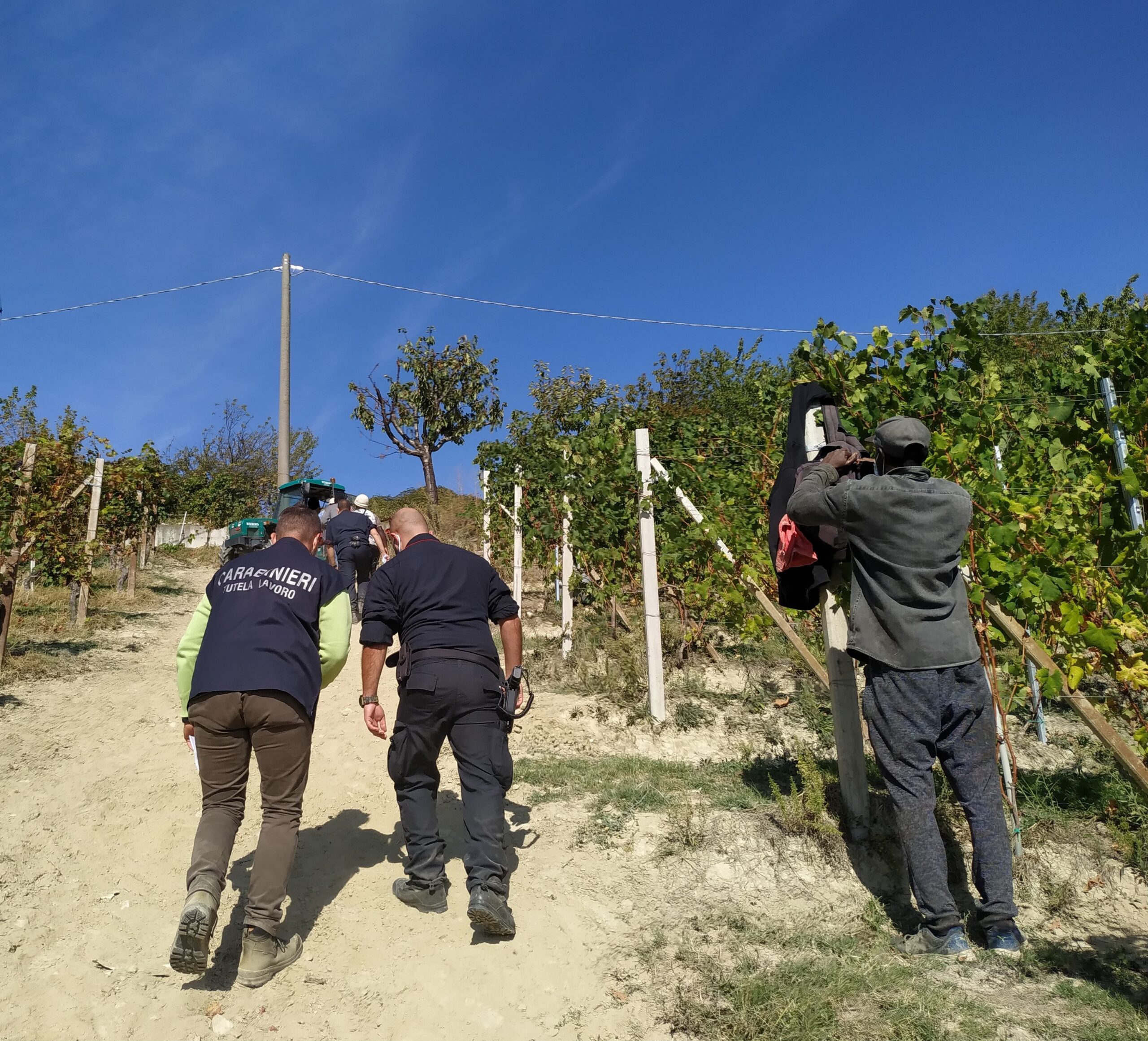 Controlli dell'Ispettorato del lavoro in imprese agricole in provincia di Taranto